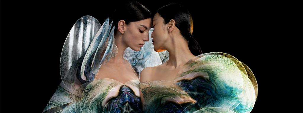 iris 2.jpg iris 2.jpg